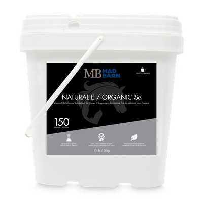 MADBARN - Natural E / Organic SE