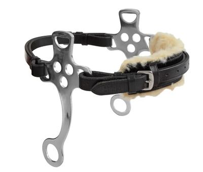 VELOCITI - Classic Hackamore Gara