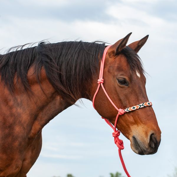 CASHEL - Beaded Nose Halter