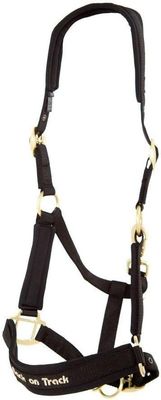 BACK ON TRACK - PP Werano Raven Black Halter