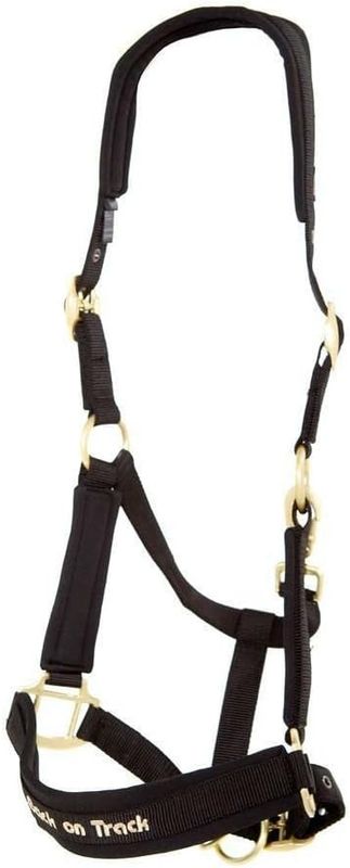 BACK ON TRACK - PP Werano Raven Black Halter