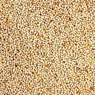 LES GRAINS DOUGLASS - White millet