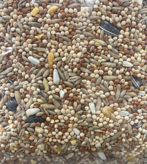 LES GRAINS DOUGLASS - Cockatiel Mix Feed