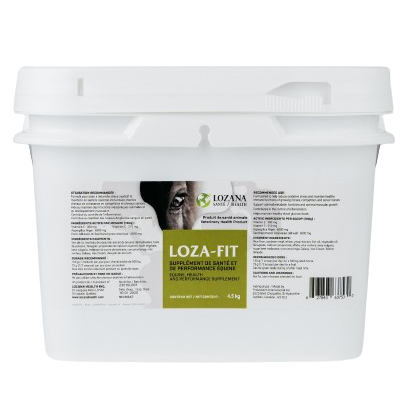 LOZANA - Loza-fit