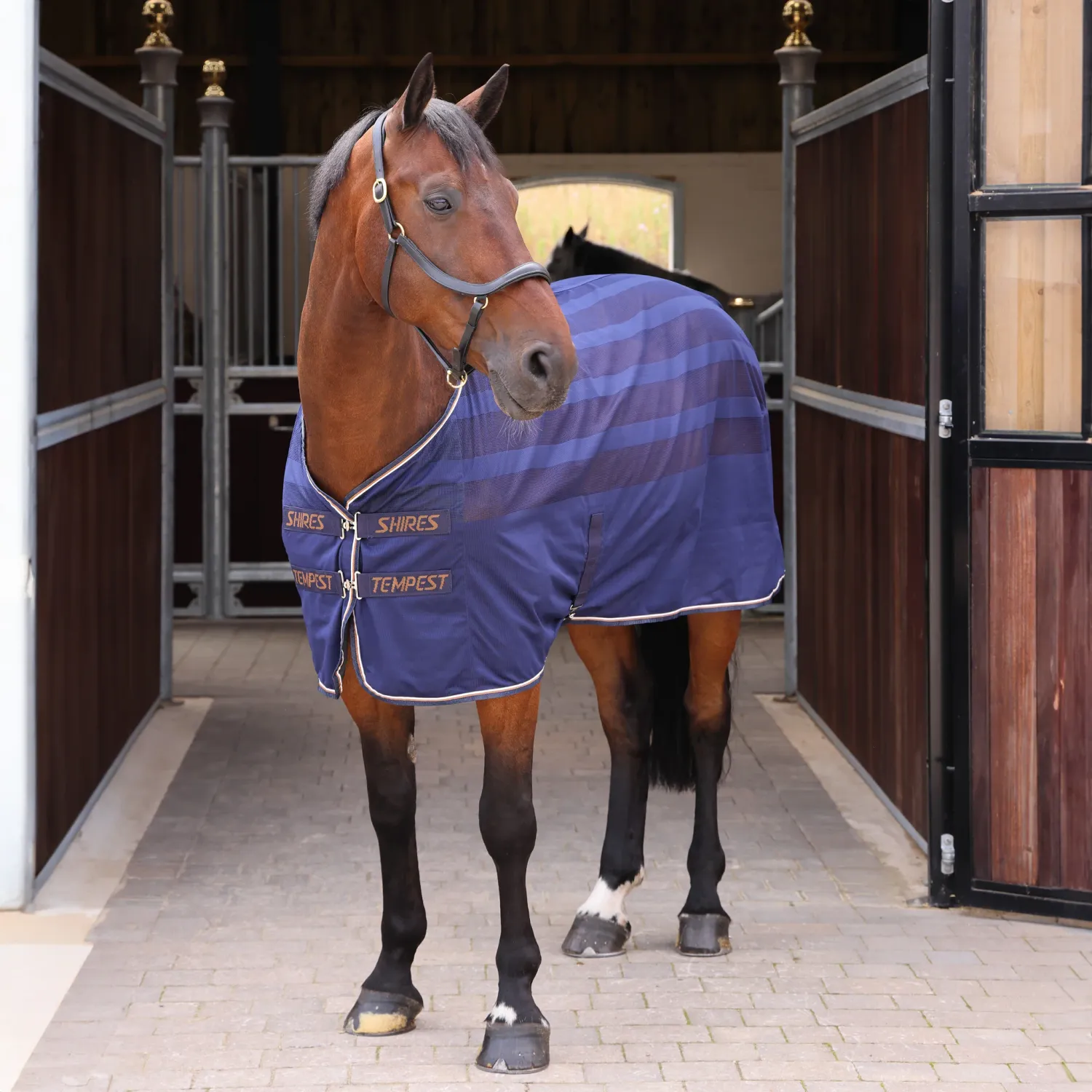 SHIRES EQUESTRIAN - Tempest Original Scrim Cooler Rug