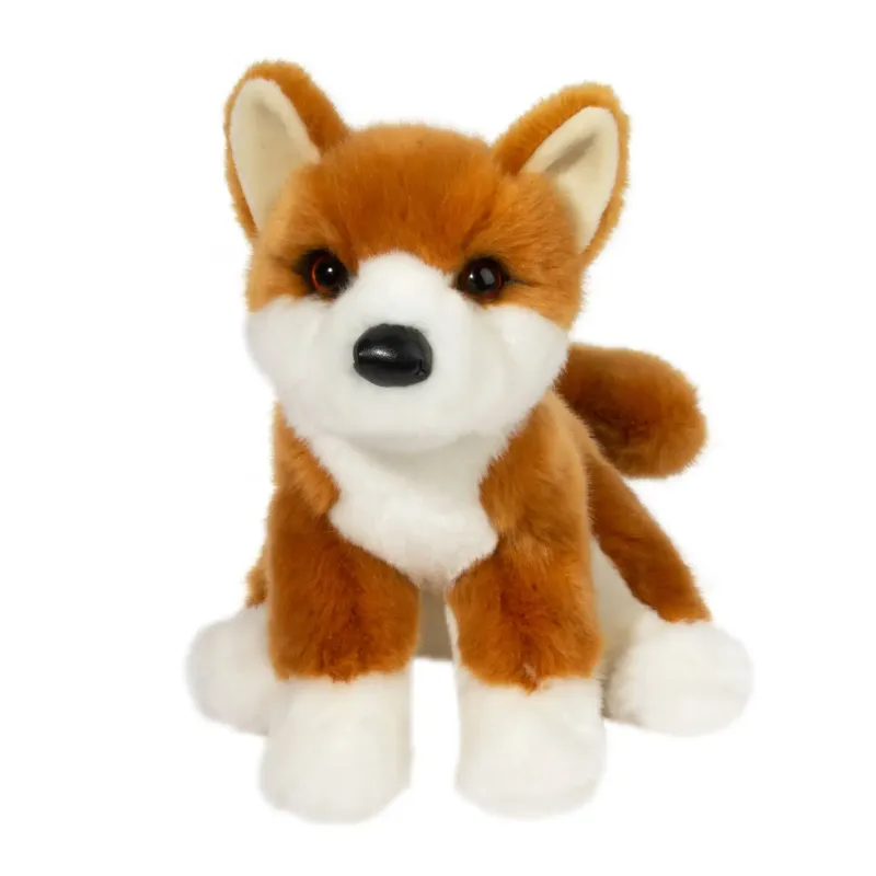 DOUGLAS - Aki Shiba Inu