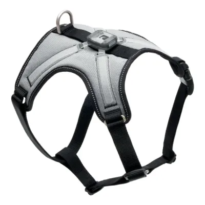 RC PETS - Nova LED Light Harness