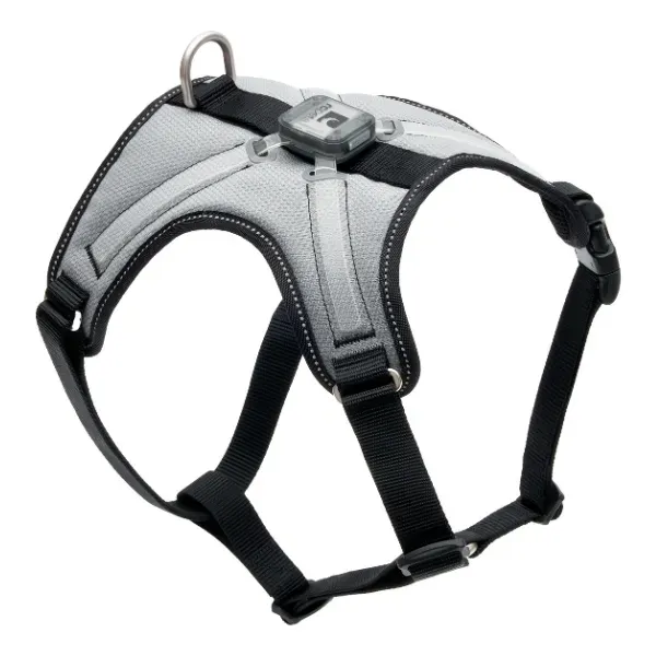 RC PETS - Nova LED Light Harness
