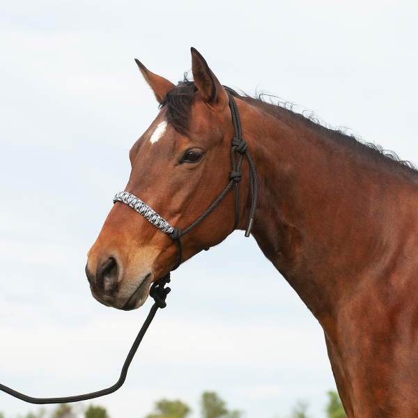 CASHEL - Braided Nose Halter