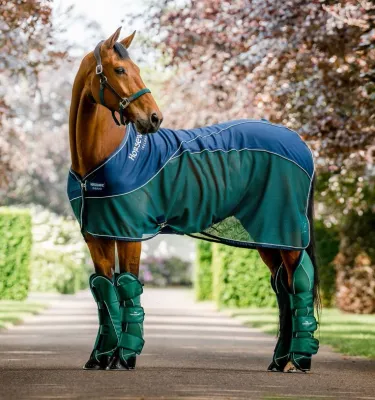 HORSEWARE - Signature Sport Cooler (No Fill)
