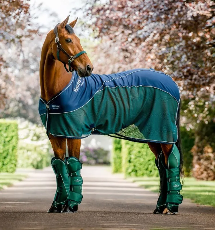 HORSEWARE - Signature Sport Cooler (No Fill)