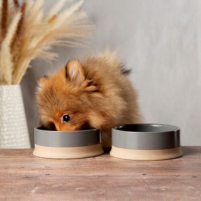 SCRUFFS - Scandi Non Tip Pet Food &amp; Water Light Grey Bowl