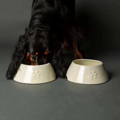 SCRUFFS - Icon Bowl for Long-Eared Dogs
