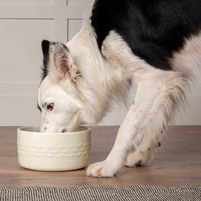 SCRUFFS - Icon Water Bowl
