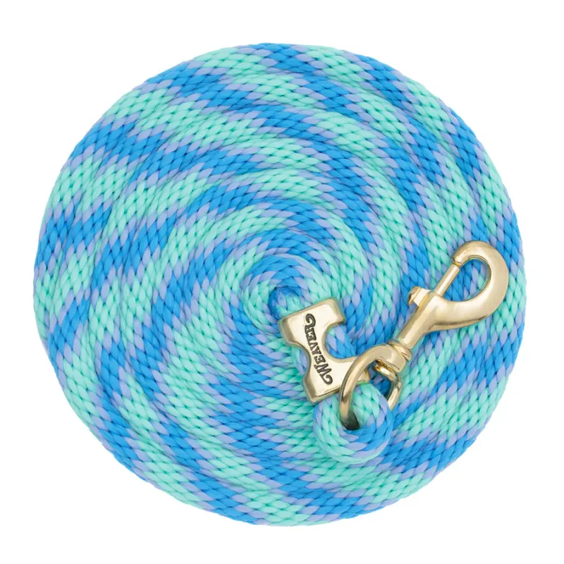 WEAVER - Poly Lead Spiral Rope with Brass Snap