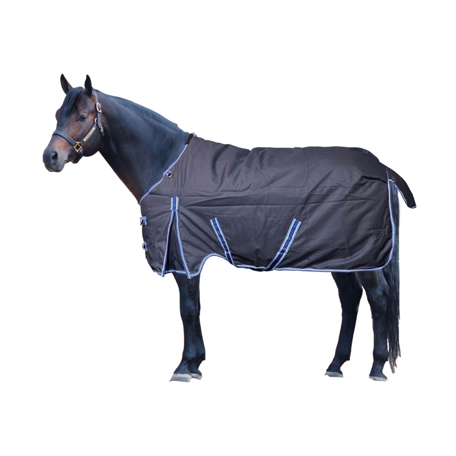 CENTURY - Ultimate Seamless Waterproof Summer Turnout