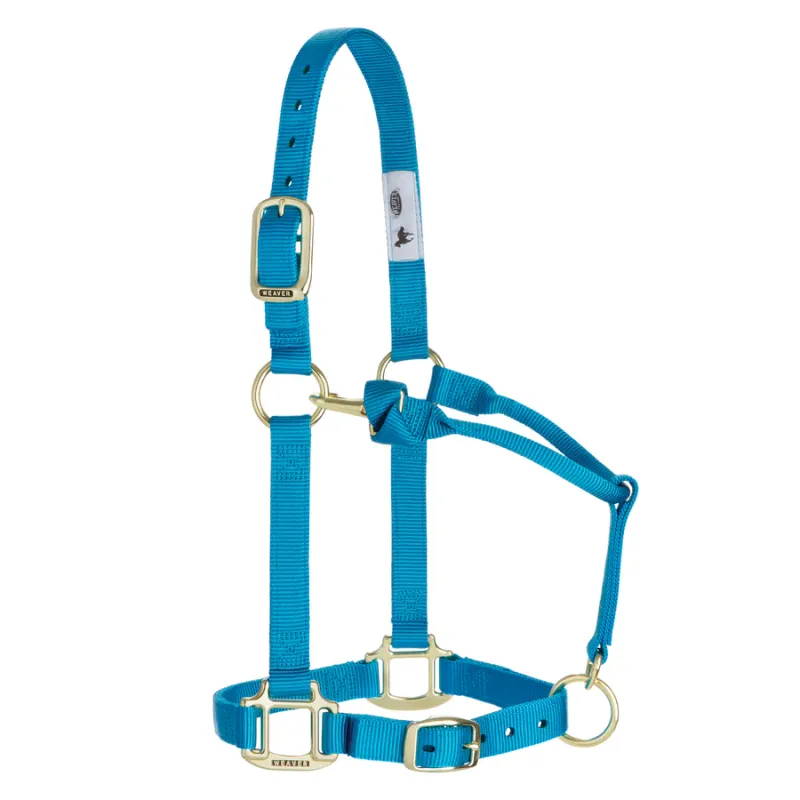 WEAVER - Licou en Nylon 1&#39;&#39; Ajustable Hurricane Blue