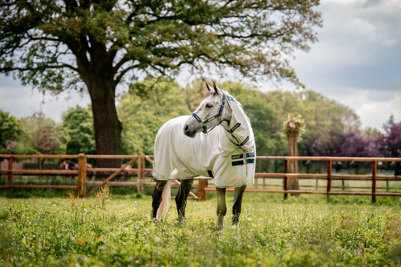 HORSEWARE - Amigo Bug Rug en Mesh Lunar Rock