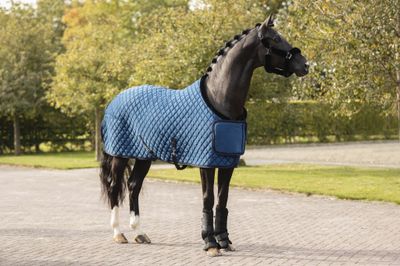 ANKY - Velvet Show Rug