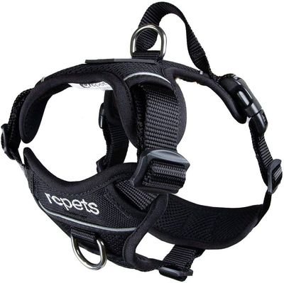 RC PETS - Black Momentum Control Harness