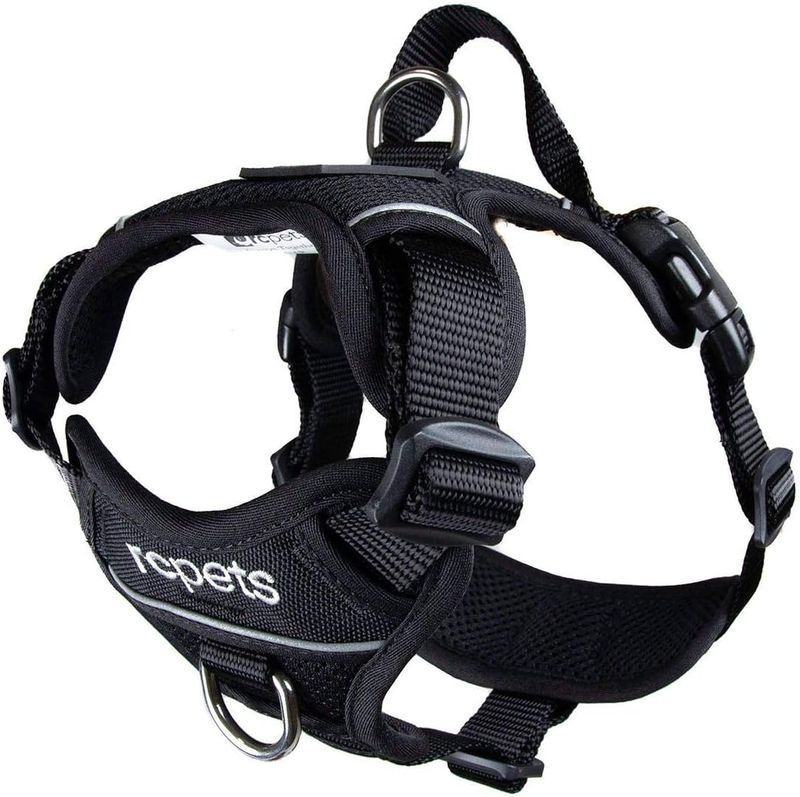 RC PETS - Black Momentum Control Harness