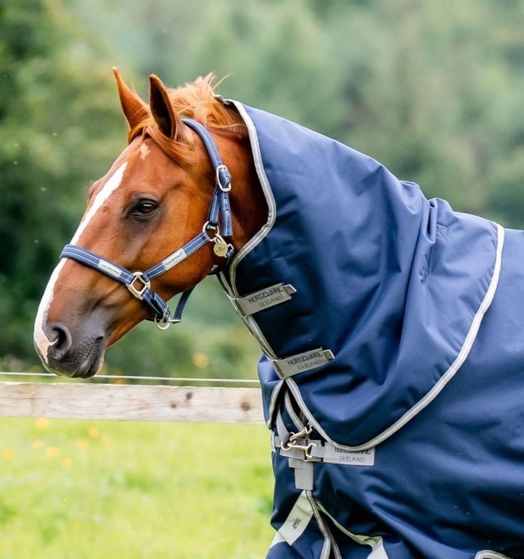 HORSEWARE - Amigo Bravo 12 Navy Original Hood (150g)