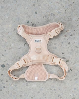 DEXYPAWS - Nude No-Pull Dog Harness