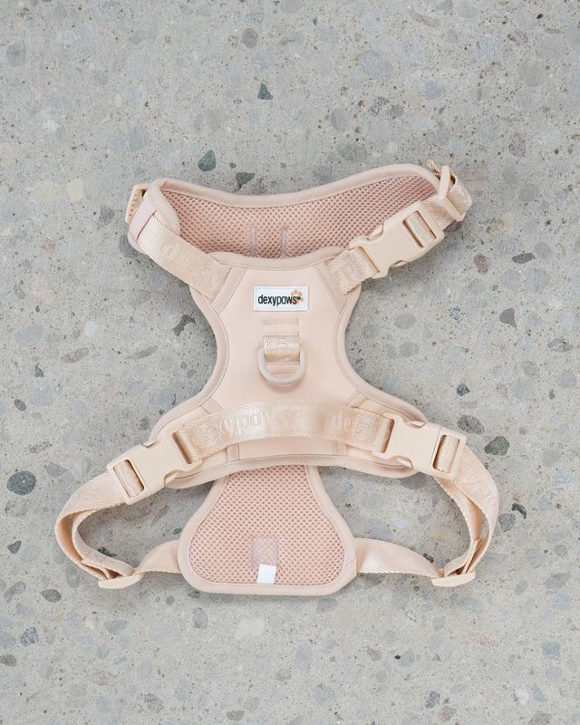 DEXYPAWS - Nude No-Pull Dog Harness