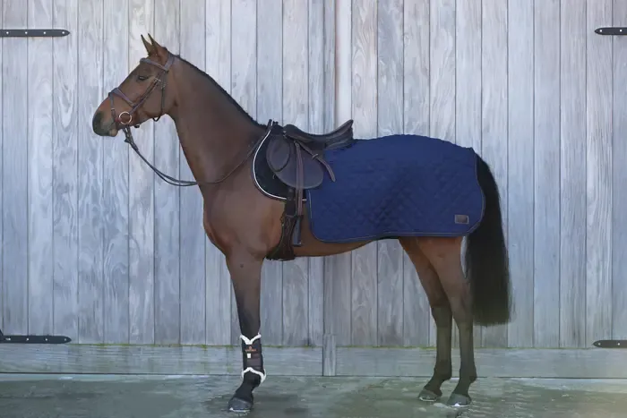 KENTUCKY HORSEWEAR - Navy Quarter Rug