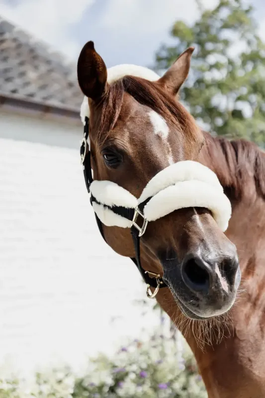 KENTUCKY HORSEWEAR - Natural Nylon Sheepskin Soft Halter