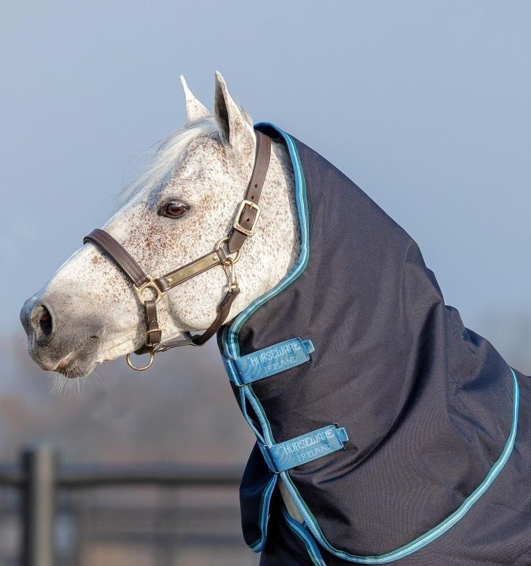 HORSEWARE - Amigo Bravo 12 Turquoise Original Hood (150g)