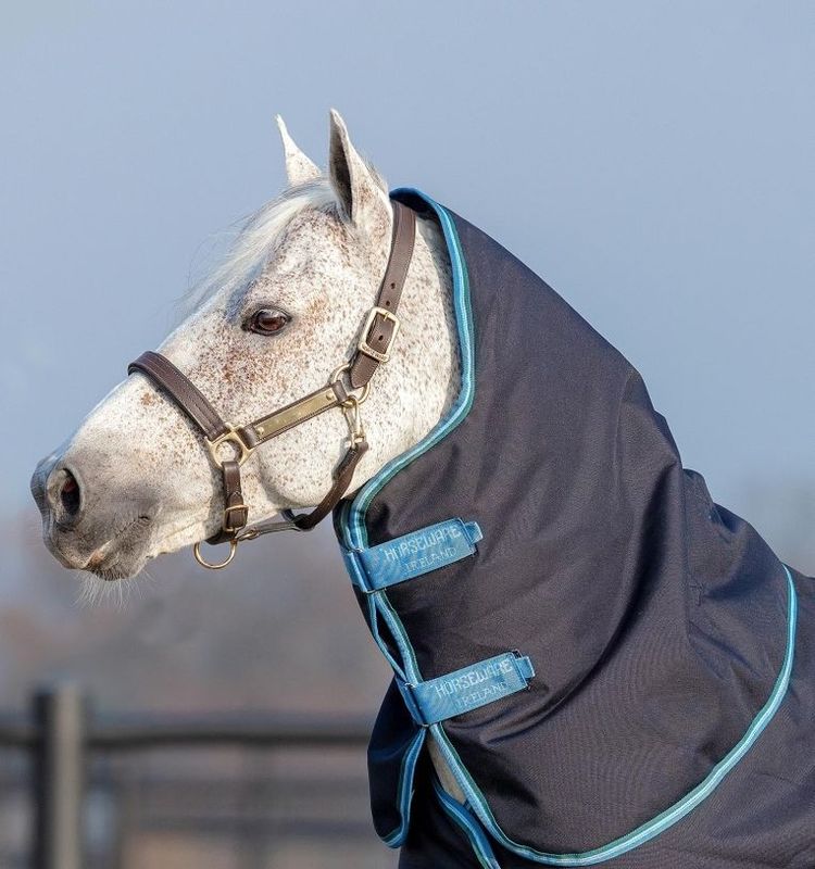 HORSEWARE - Amigo Bravo 12 Turquoise Original Hood (150g)