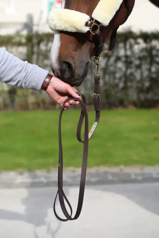 KENTUCKY HORSEWEAR - Longe de Présentation Brun