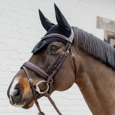 DY&#39;ON - Plaited Flash Noseband Bridle with Pull Back