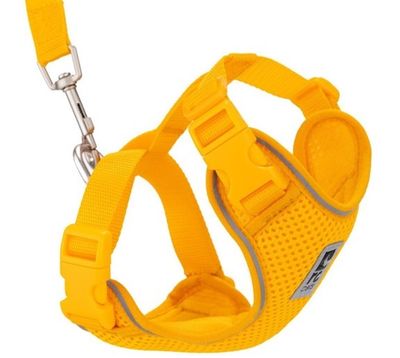 RC PETS - Adventure Kitty Mesh Harness Marigold for Cats by RC Pets
