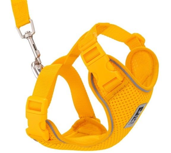 RC PETS - Adventure Kitty Mesh Harness Marigold for Cats by RC Pets