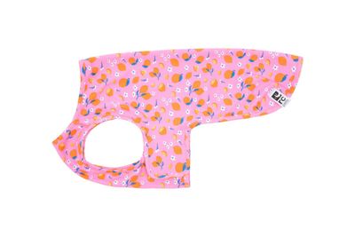 RC PETS - Zesty Zephyr Cooling Vest