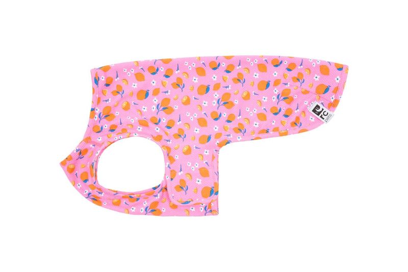 RC PETS - Zesty Zephyr Cooling Vest