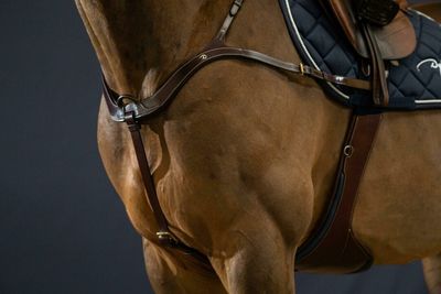 DY&#39;ON - D Collection Anatomical Breastplate