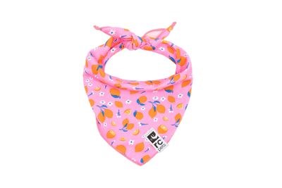 RC PETS - Zesty Zephyr Cooling Bandana