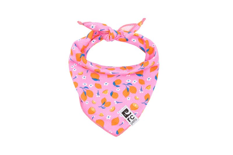 RC PETS - Zesty Zephyr Cooling Bandana