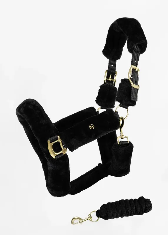 MAXIMILIAN EQUESTRIAN - Halter with leash