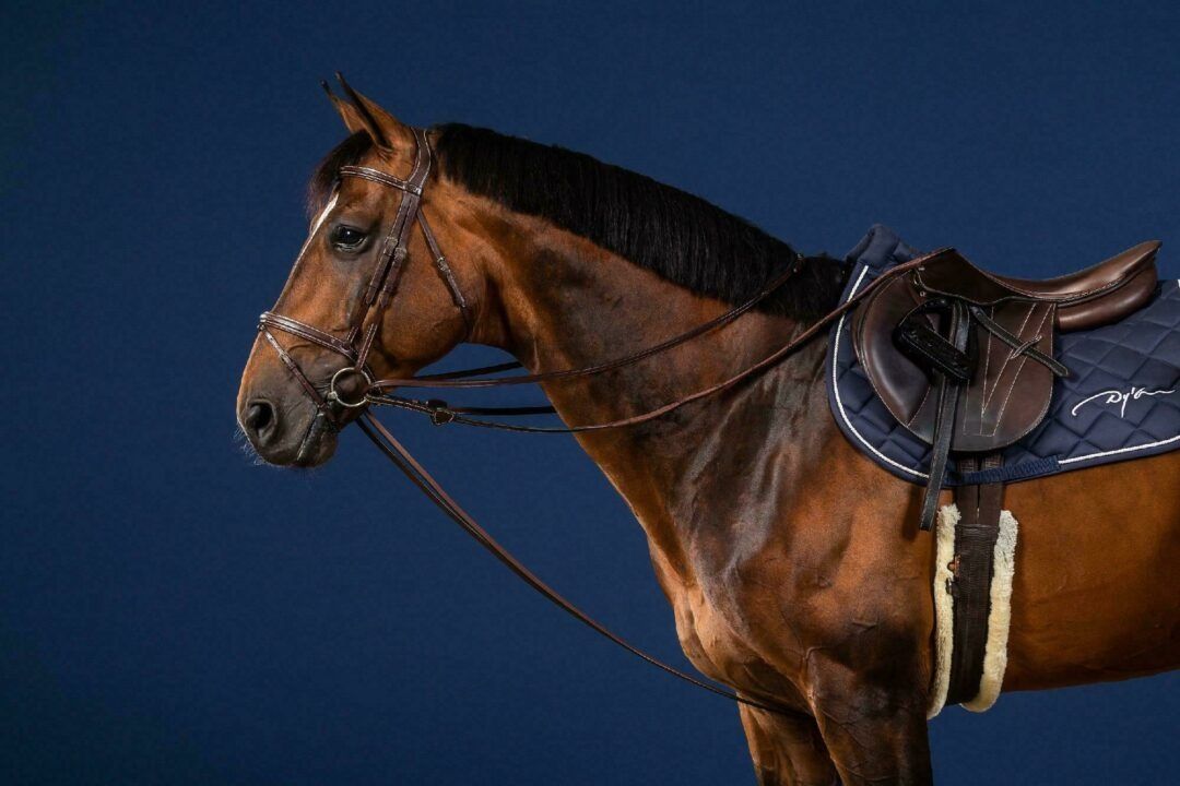 Rênes De Corde Showman En Cuir De Vache Avec Point De Fouet - Neuf Sous