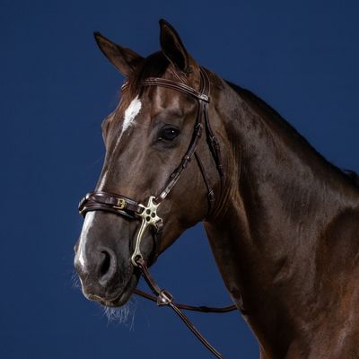 DY&#39;ON - New English Hackamore Bridle