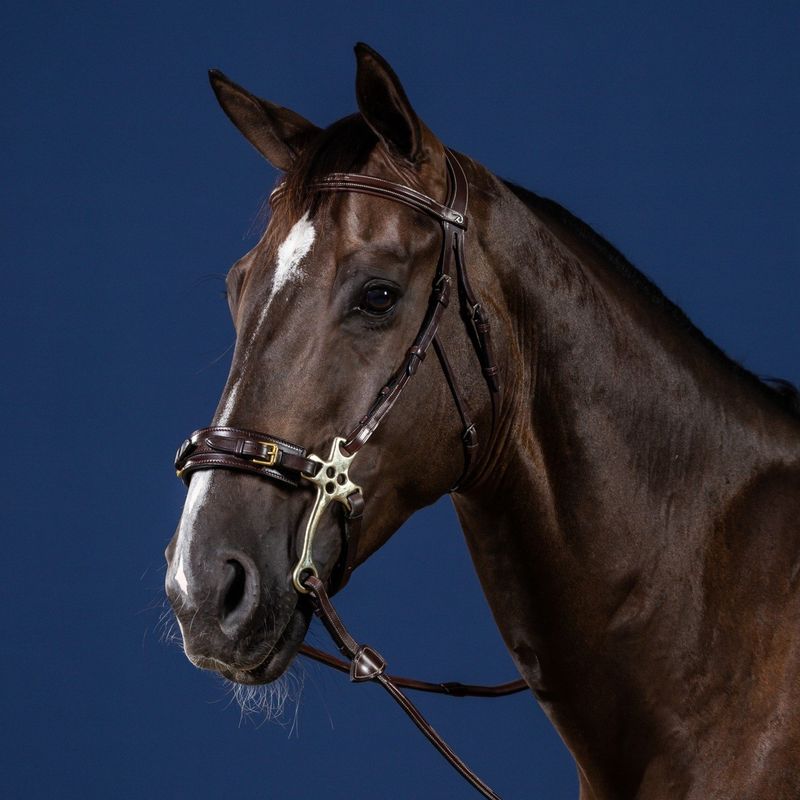 DY&#39;ON - New English Hackamore Bridle