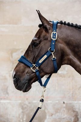 KENTUCKY HORSEWEAR - Velvet Navy Halter