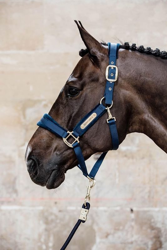 KENTUCKY HORSEWEAR - Velvet Navy Halter