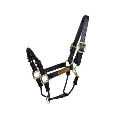 KENTUCKY HORSEWEAR - Black Control Halter