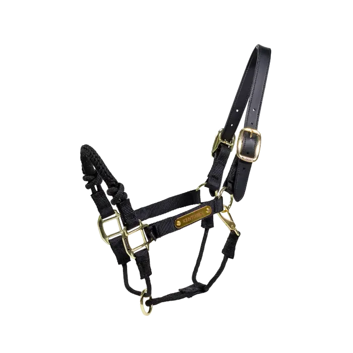 KENTUCKY HORSEWEAR - Black Control Halter