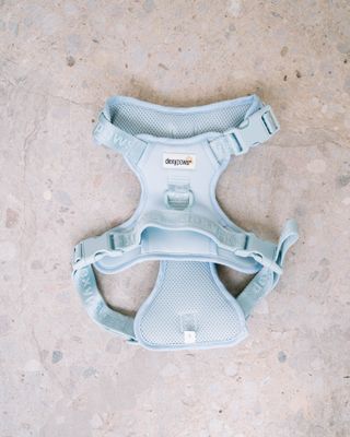 DEXYPAWS - Sky Blue No-Pull Dog Harness